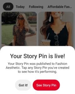 What are pinterest story pins?