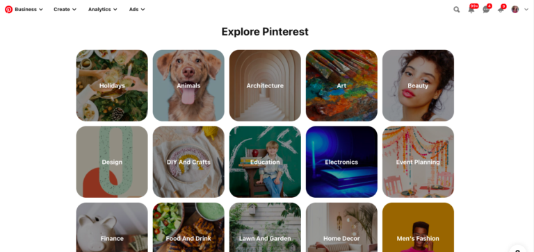 What is a pinterest category?